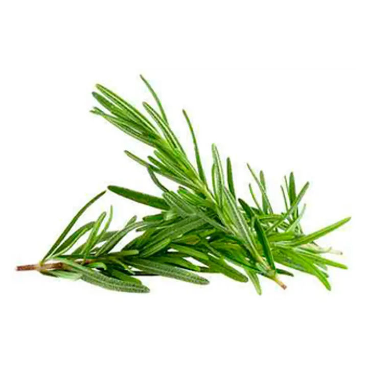Rosmariin 50g