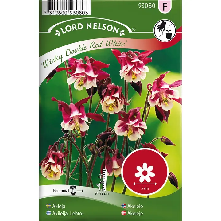 93080 aquilegia winky red-white