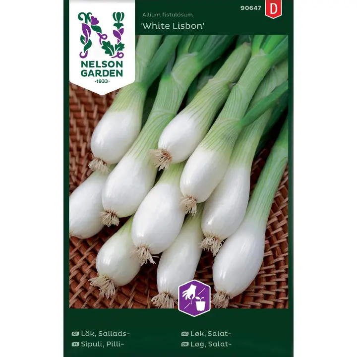 90647 sibul, pilli-, white lisbon