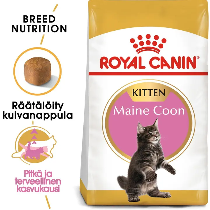 Royal Canin Maine Coon kitten kissan penturuoka 2kg
