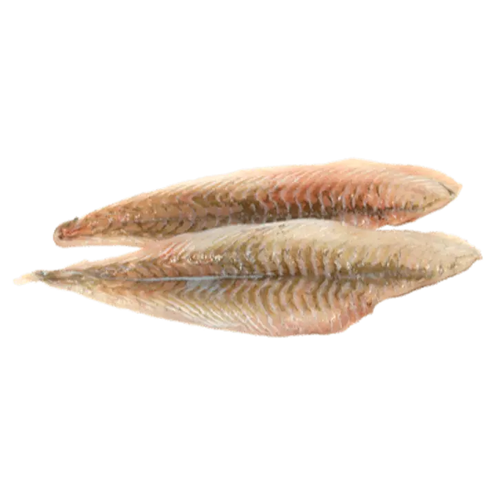 Lestafilee n-ta, jahutatud