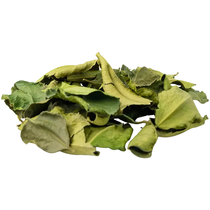 limetin lehti kuivattu
