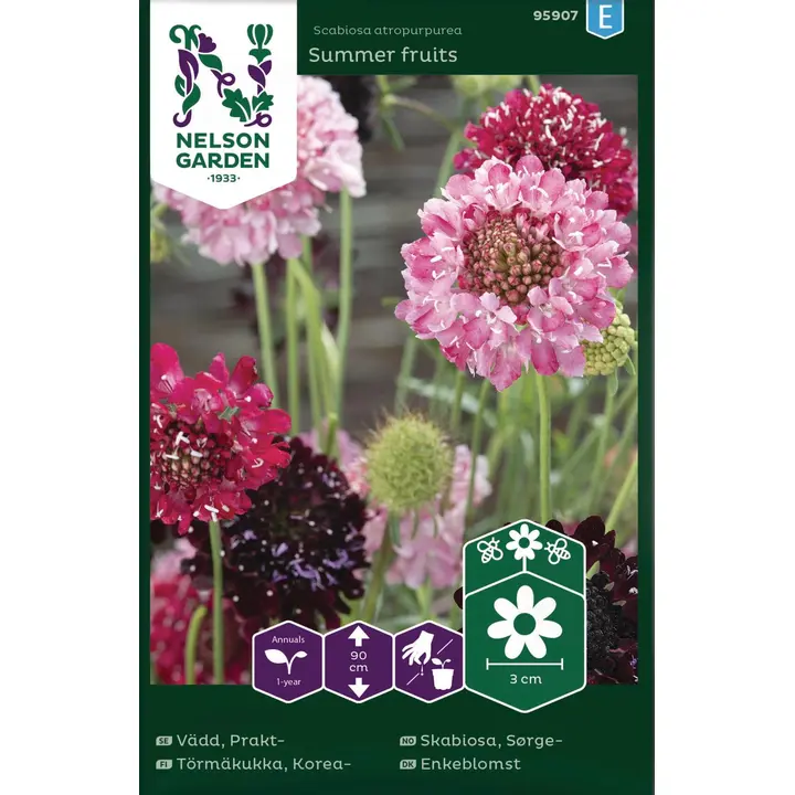 95907 kännulill summer fruits