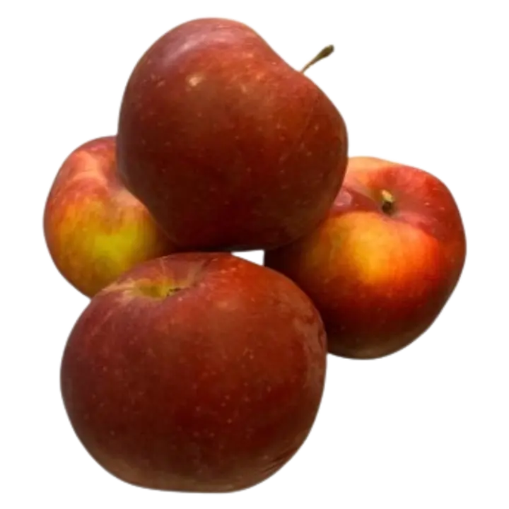 Õun Alesja II klass EESTI