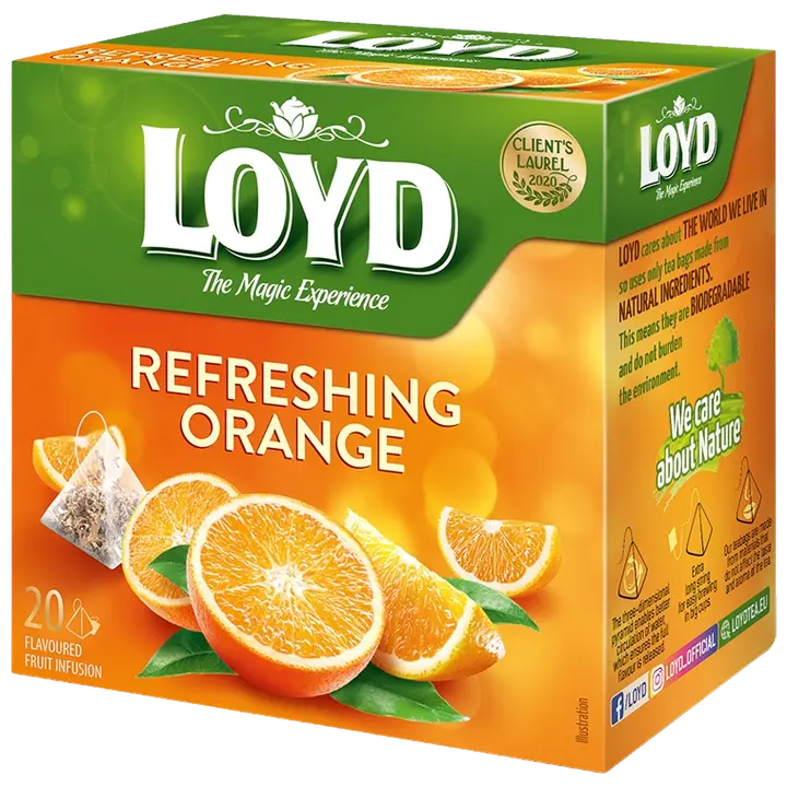Loyd Pyramids teevärske apelsin 20x2,2g