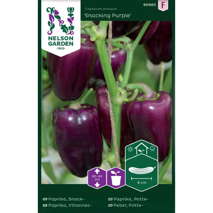 90865 maguspaprika snacking purple