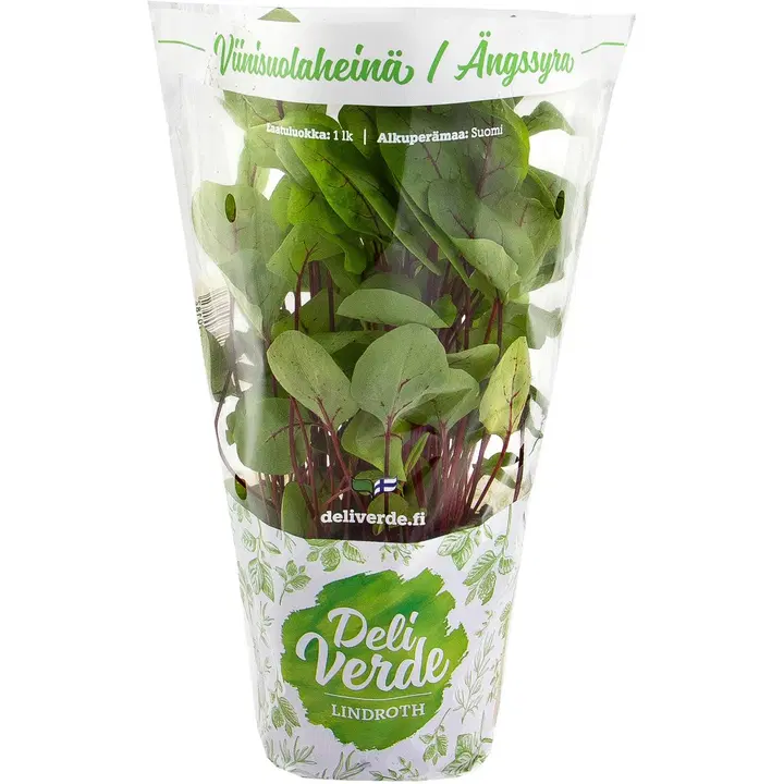 Deliverde viinisuolaheinä