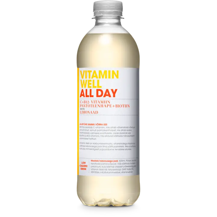 Vitamin Well All Day vitamiinijook 500ml