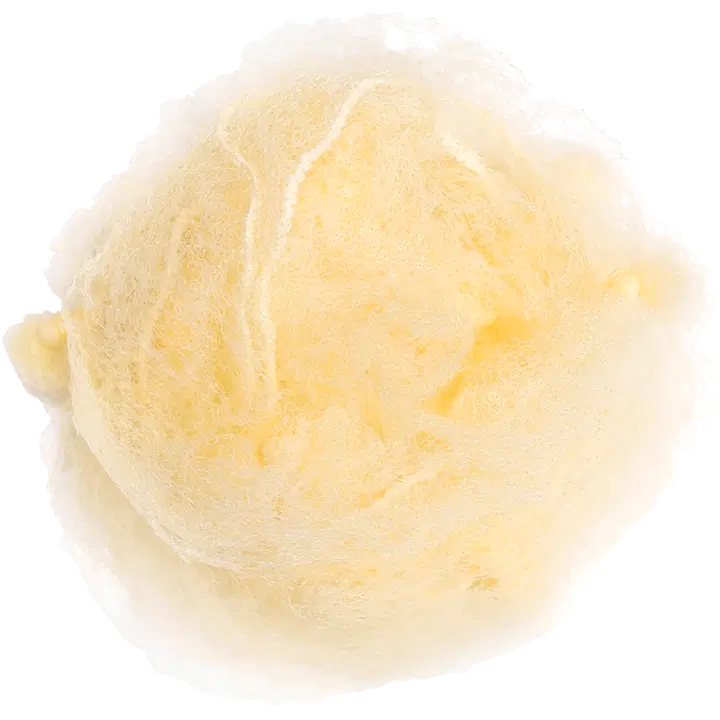 Cailap Nutturaverkko vaalea 5 kpl