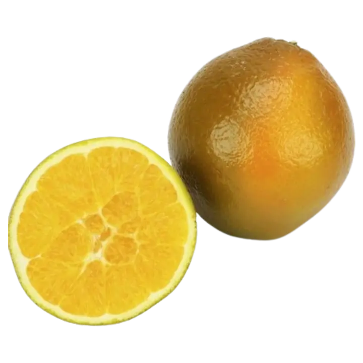 Apelsin Chocalate I klass