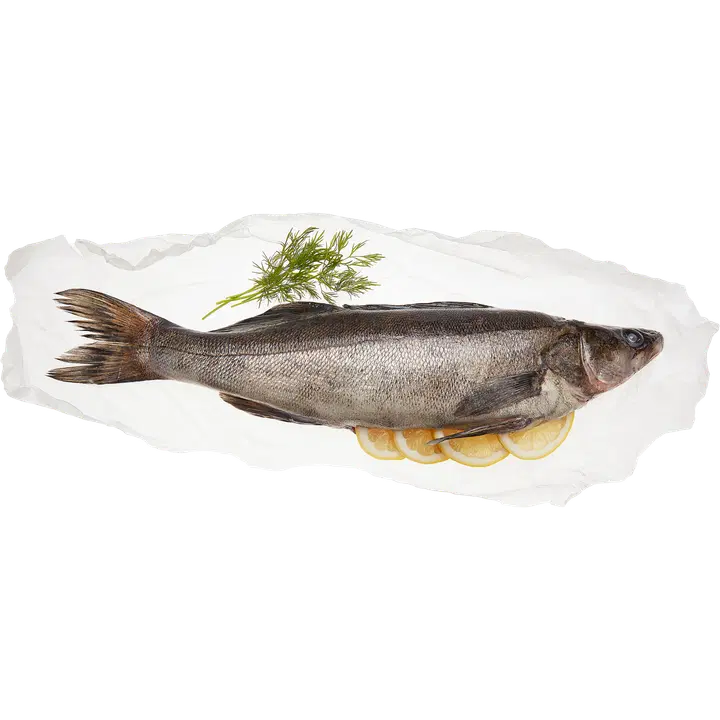 Kalaherkut Nygren kokonainen kuha