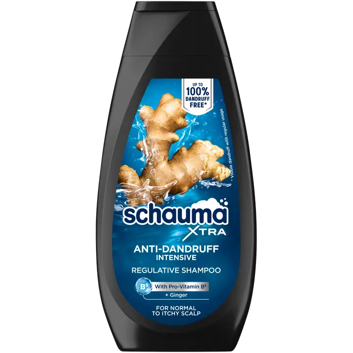Schauma šampoon Men Anti-Dandruff Intensive 350ml