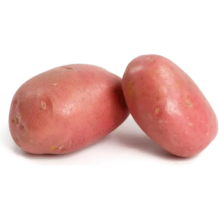 Väättänen Bellarosa peruna käsin poimittu