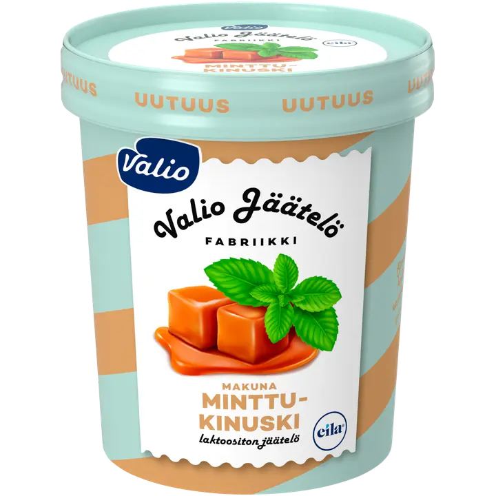 Valio jäätelö 480 ml minttu-kinuski laktoositon