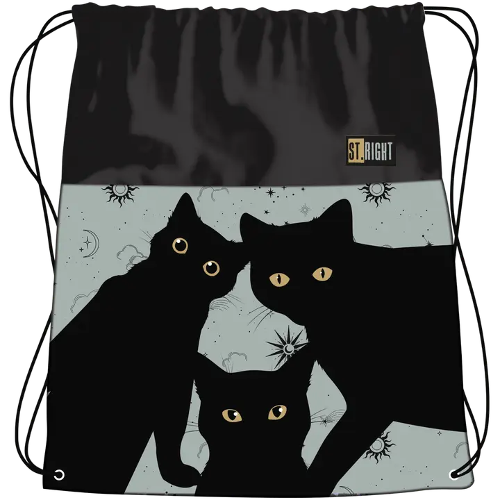 Sussikott kassid öös 20x31cm