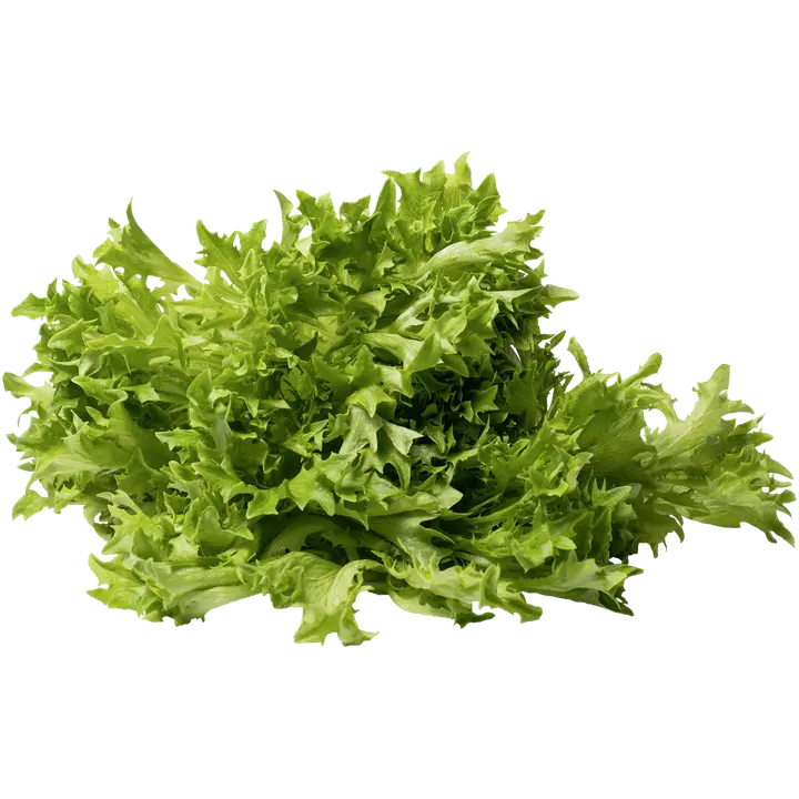 Makea friseesalaatti 100g Suomi
