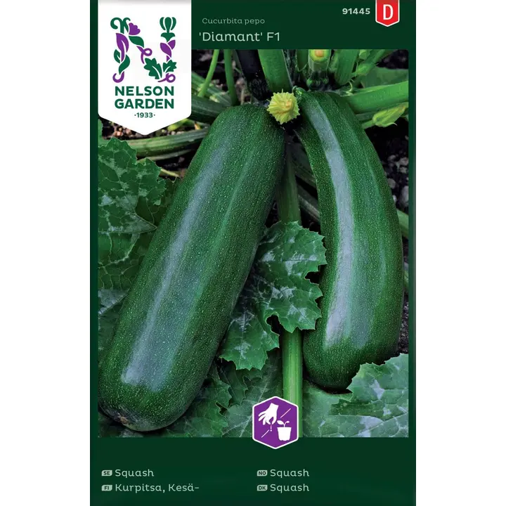 91445 suvikõrvits zucchini/diamant f1