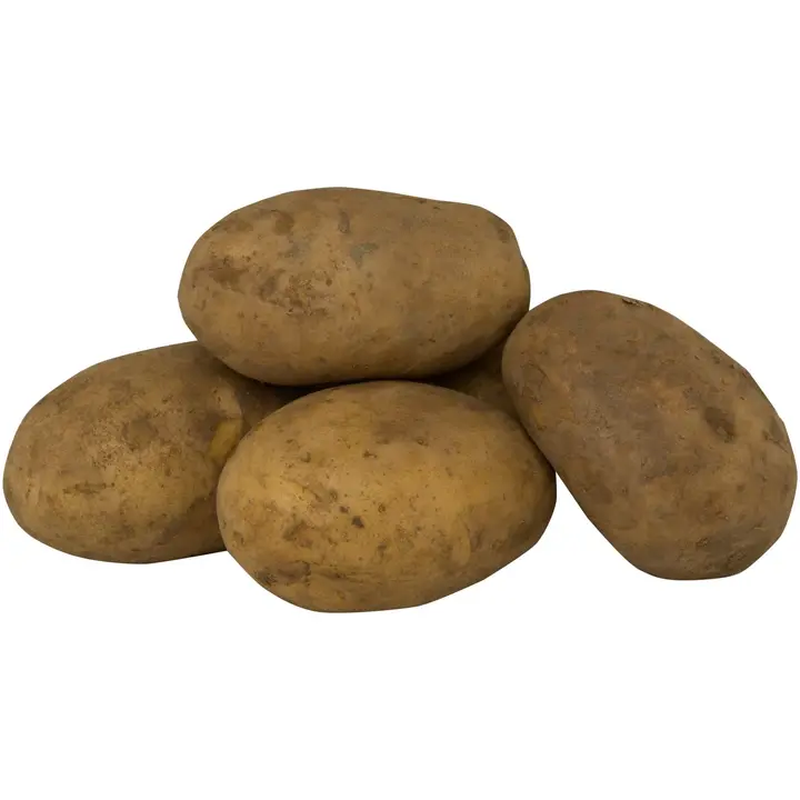 Yleisperuna harjattu