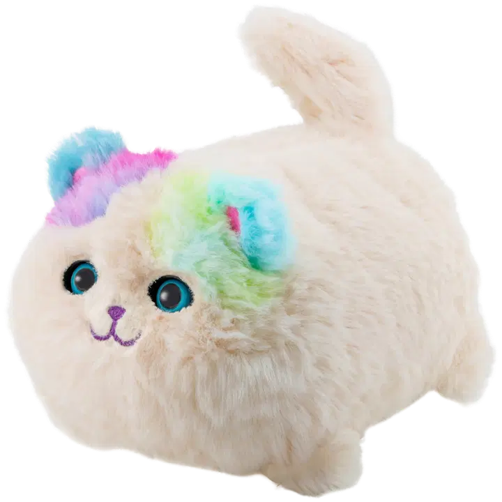 Kassipoeg kiki