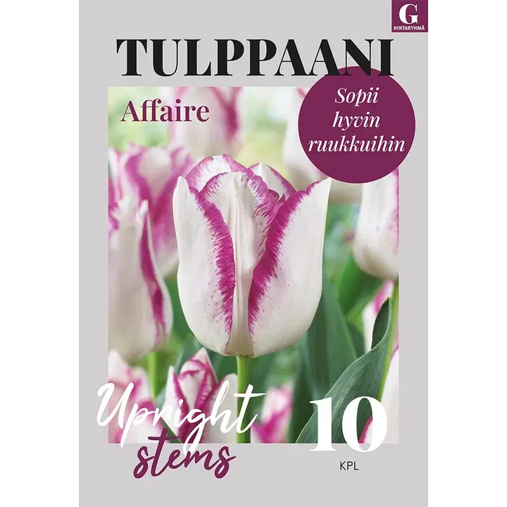 Tulppaani, Tulipa Affaire 11/12, 10kpl