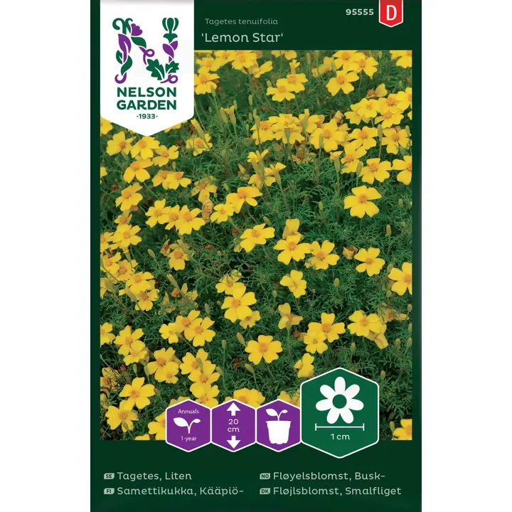 95555 tagetis lemon star