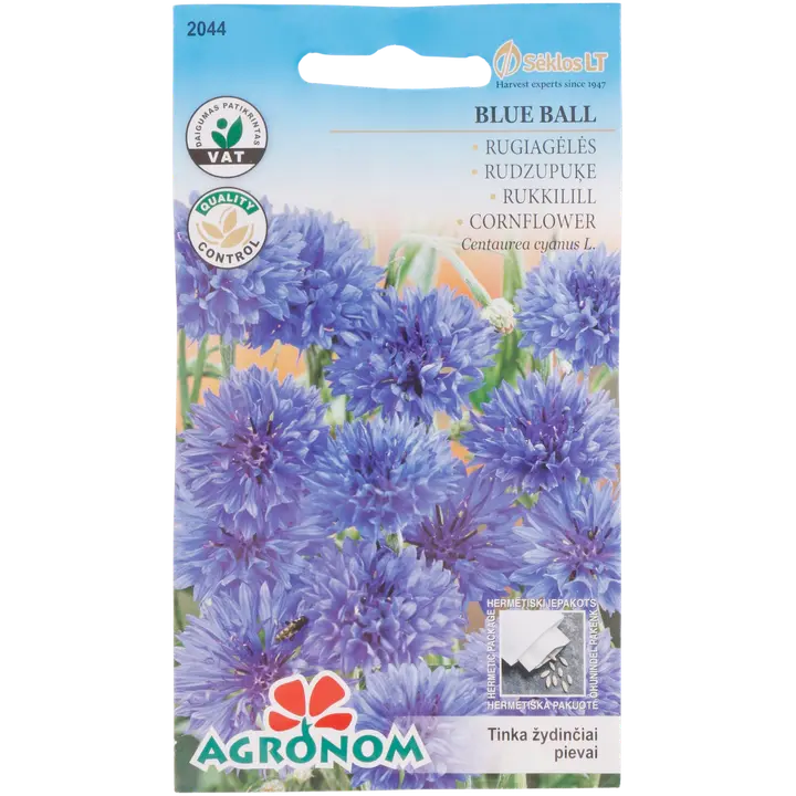 Rukkilill blue ball - centaurea cyanus l.