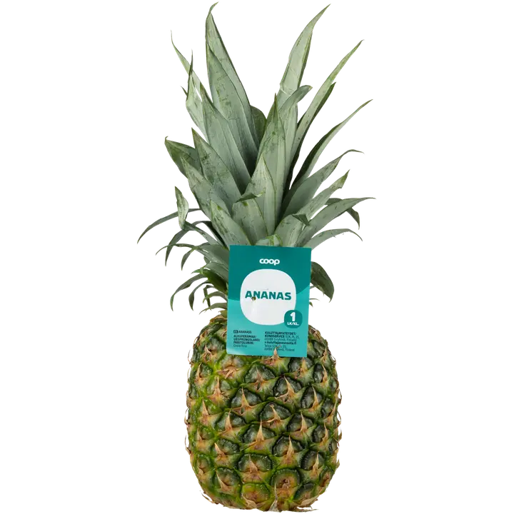 Coop ananas