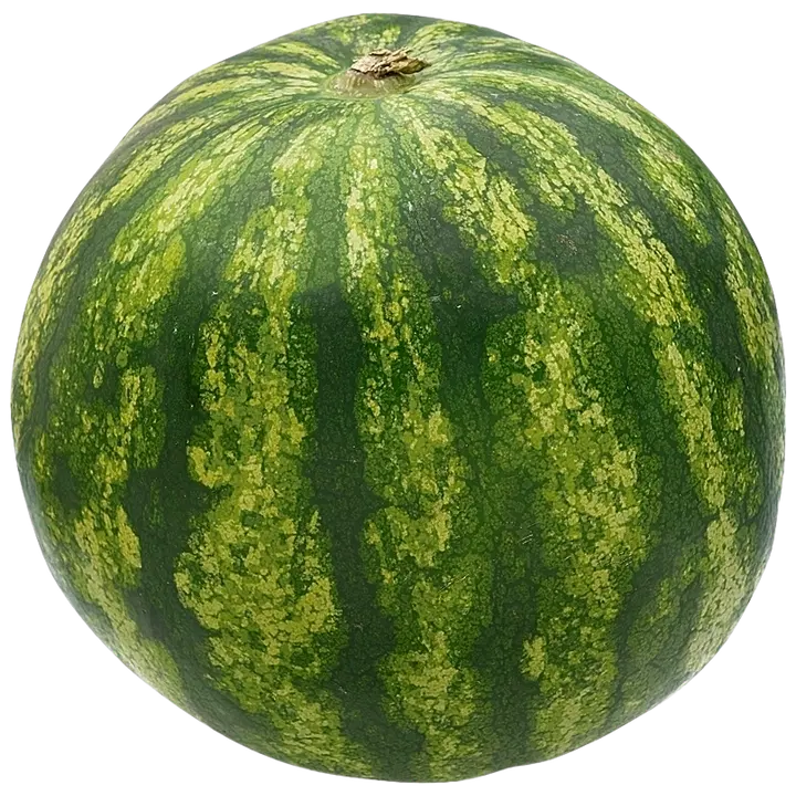 Makea vesimeloni
