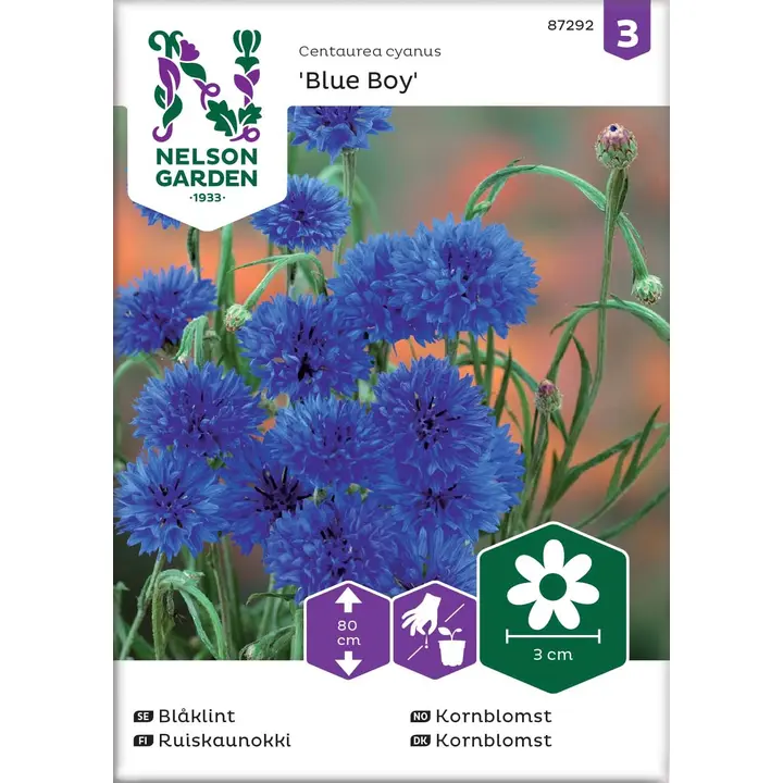 87292 rukkilill ruis-, blue boy