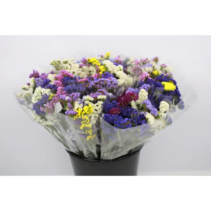 Ikiviuhko 5kpl, monivärikimppu, 50cm