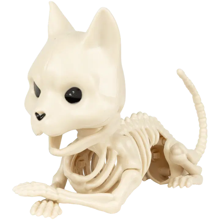 Pöytäkoriste luuranko kitten