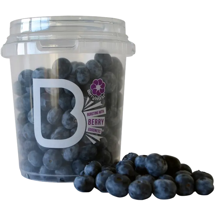 Pensasmustikka 500 g