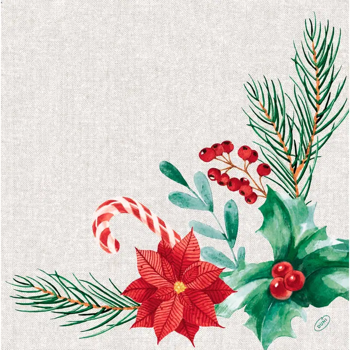 DUNI Bio Dunisoft®-lautasliina 40 x 40 cm Seasonal Delight, 12 kpl