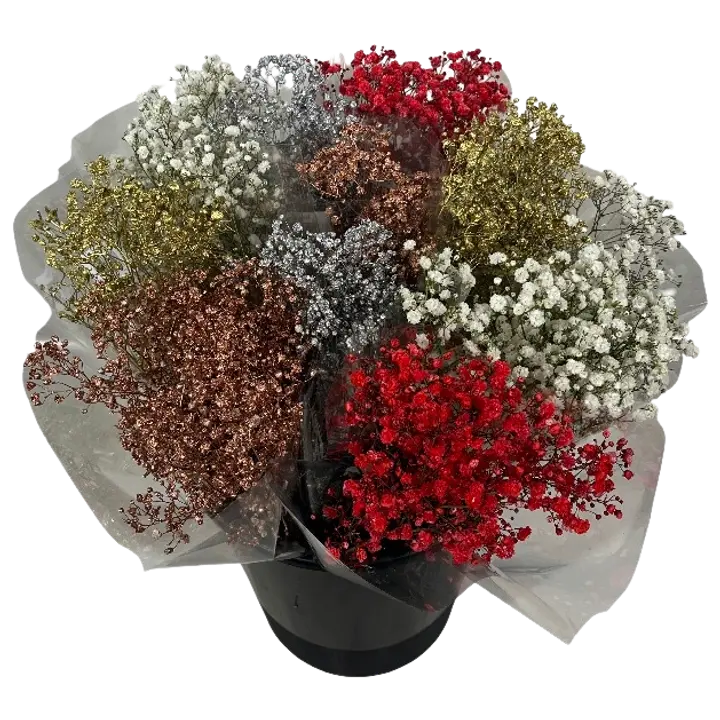 Kimp Kipslill värviline