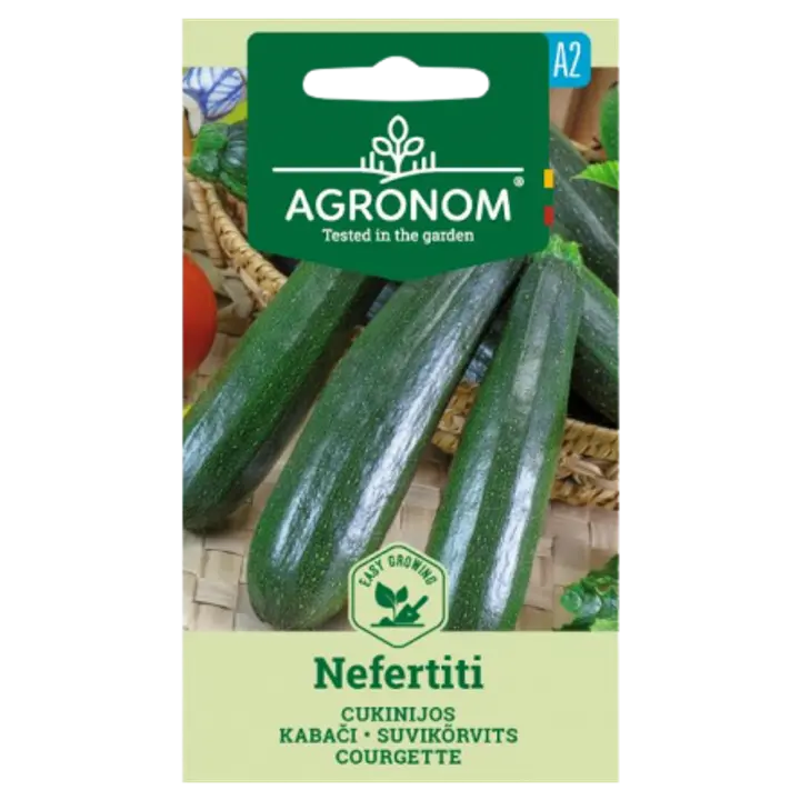 Suvikõrvits nefertiti-cucurbita pepo l.