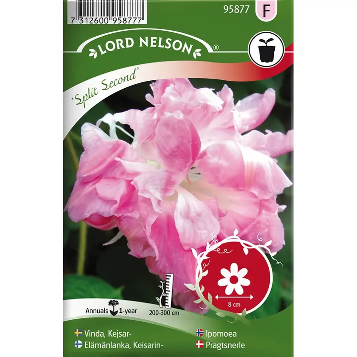 95877 elulõng split second