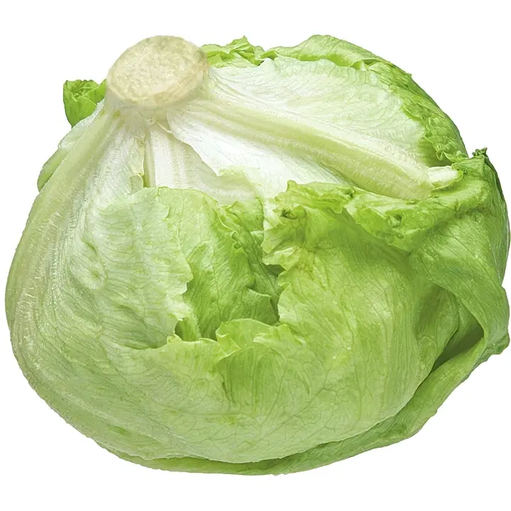 Jäävuorisalaatti