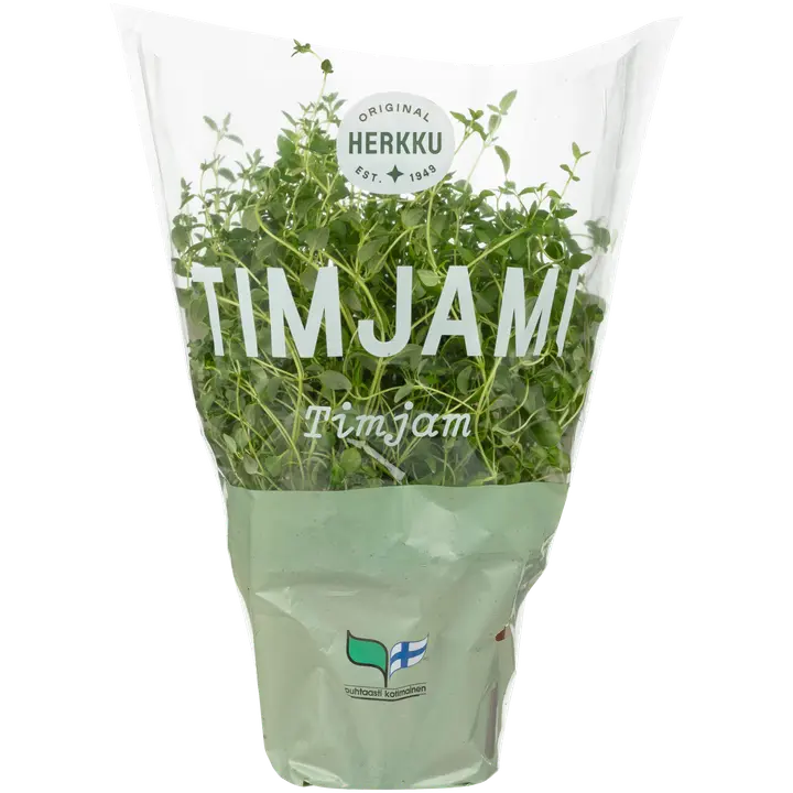 Herkku timjami ruukussa