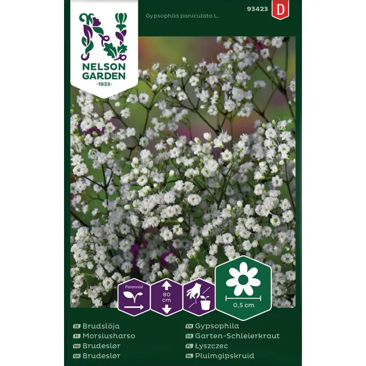 93423 gypsophila morsius