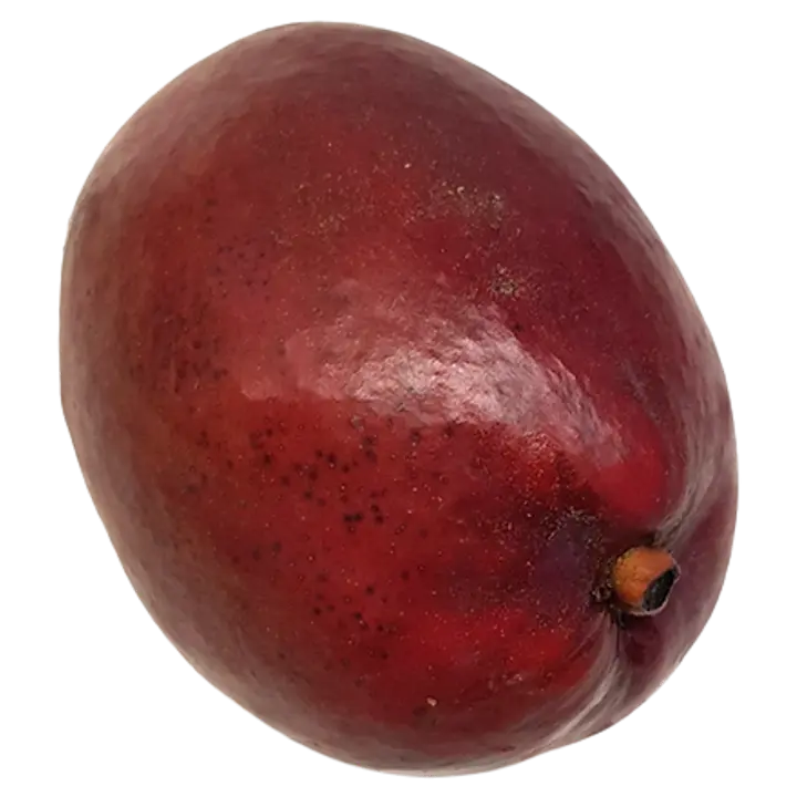 Mango Atkins