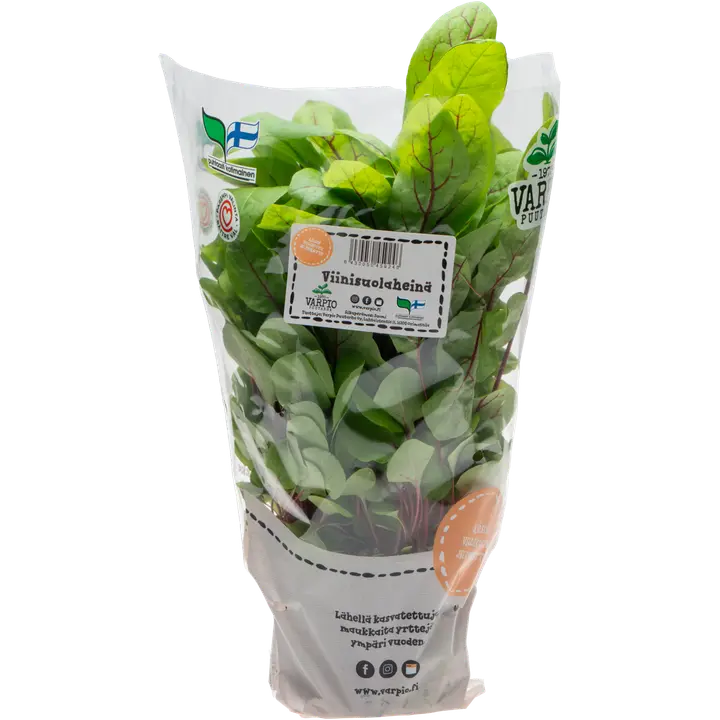 Varpio Viinisuolaheinä