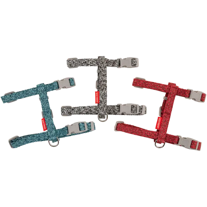 Best Friend Daily Walker Kissan valjas, värilajitelma