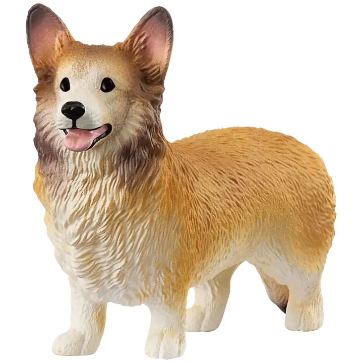 Welsh corgi