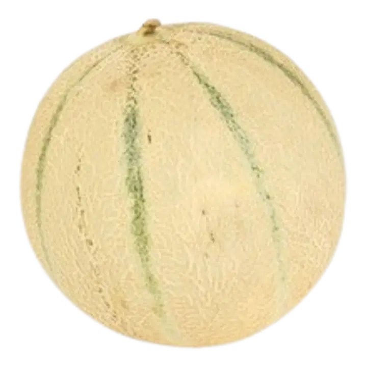 Melon Cantaloupe
