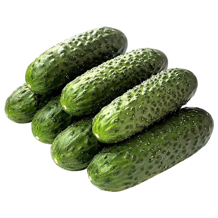 Lühike kasvuhoonekurk kg