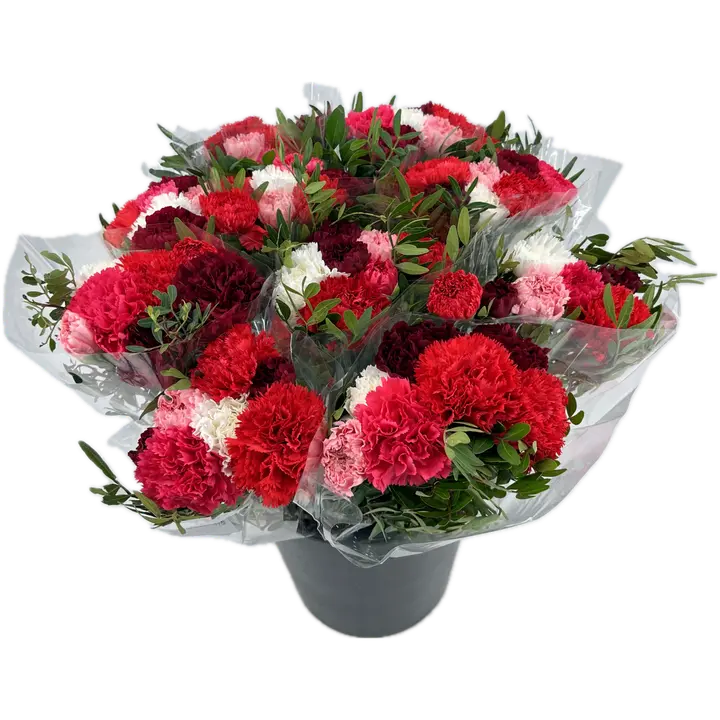 Kimppu Helmi, punasävyinen neilikkakimppu, 9 oksaa, 50cm