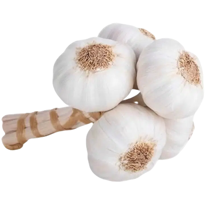 Luomu valkosipulinippu 3 kpl