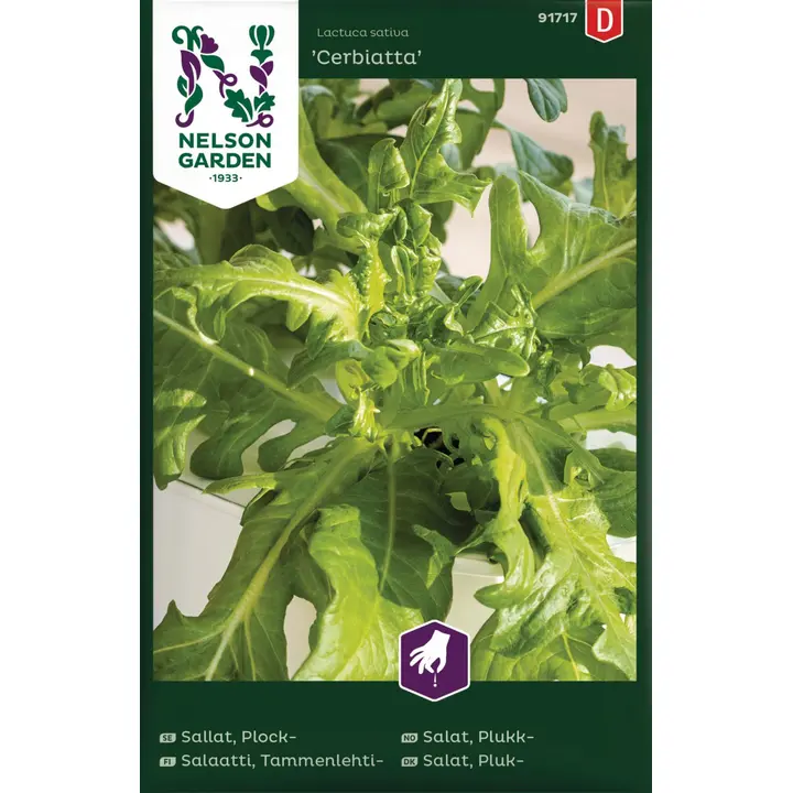 91717 salat cerbiatta