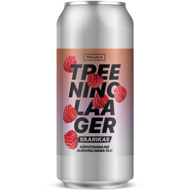 Põhjala Treeninglaager Vaarikas 0,5%, alkoholivaba õlu 440 ml