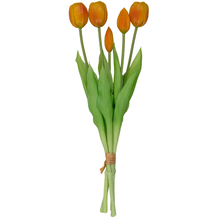 Tulbikimp oranž 39 cm